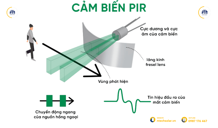 Cấu tạo và cơ chế hoạt động của cảm biến PIR