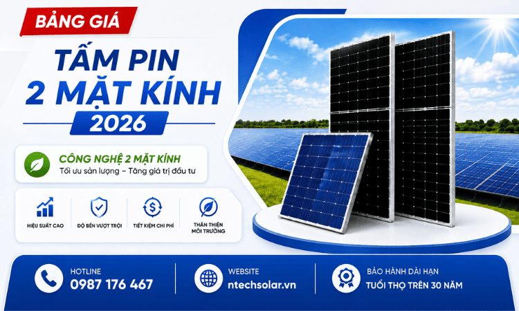 Tấm pin 2 mặt kính mới nhất